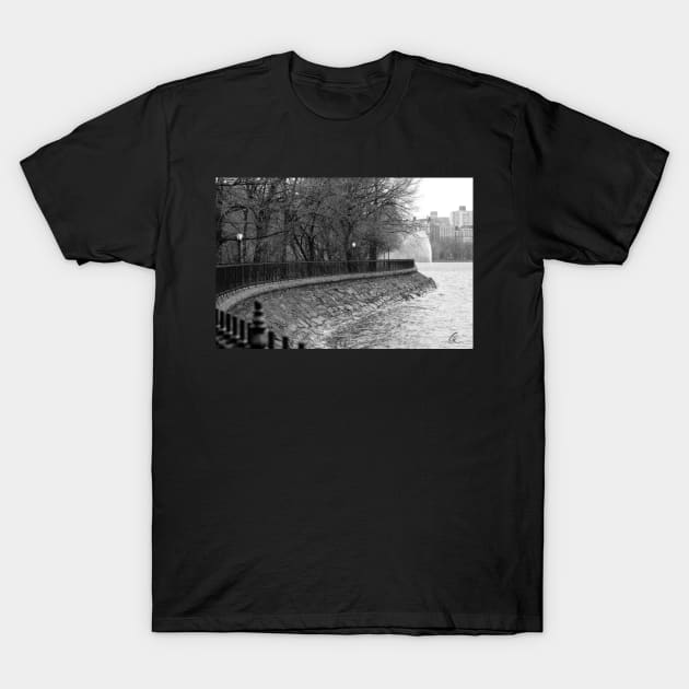 Jacqueline Kennedy Onassis Reservoir NY T-Shirt by cthomas888